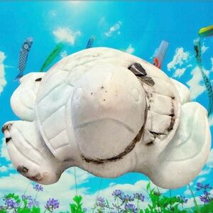 Caribbean Calcite sea turtle